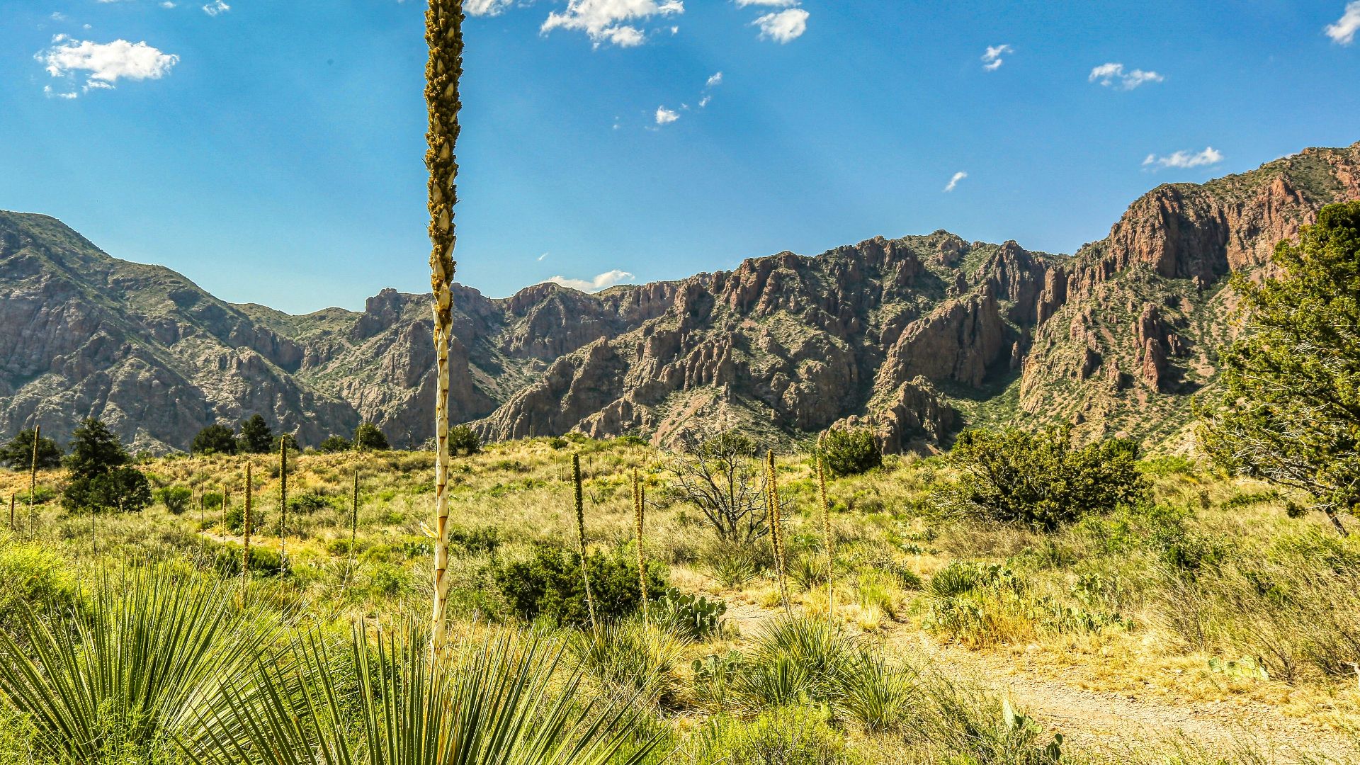 green grass and brown mountain under blue sky during daytime
