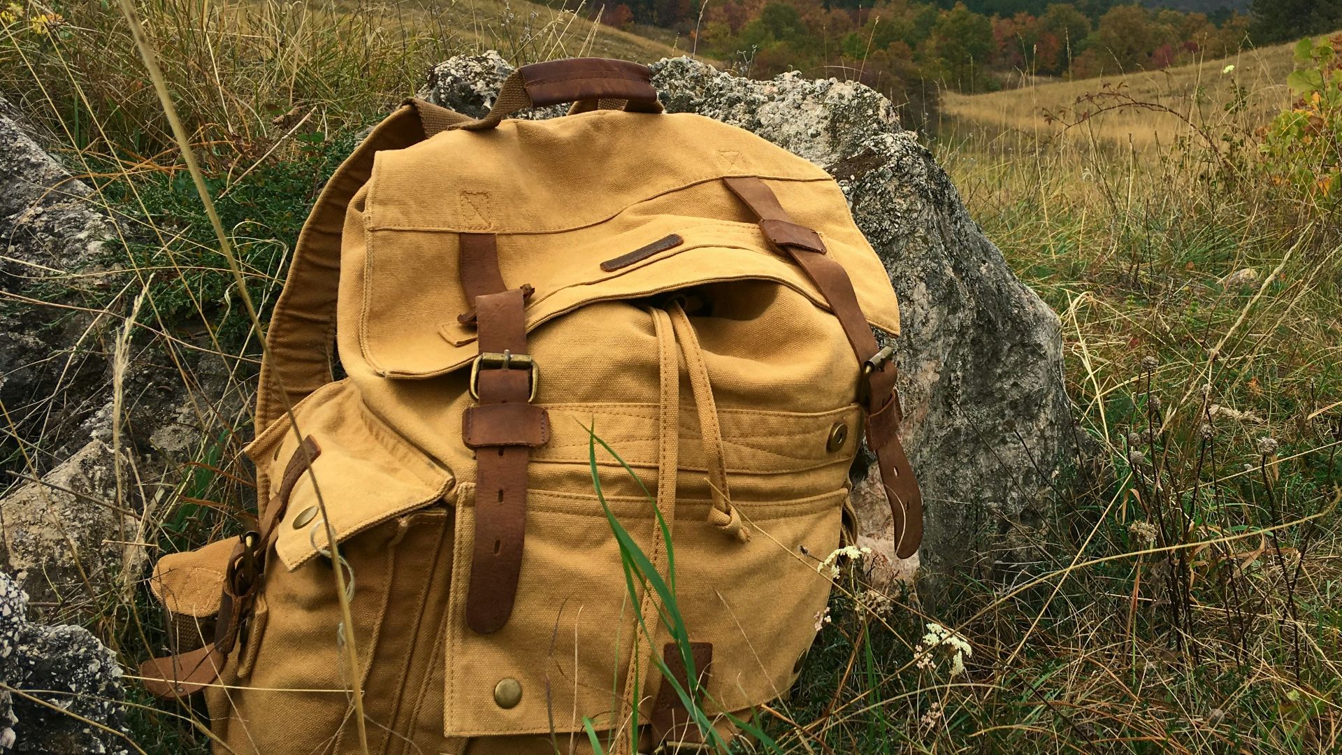brown backpack on green grass field