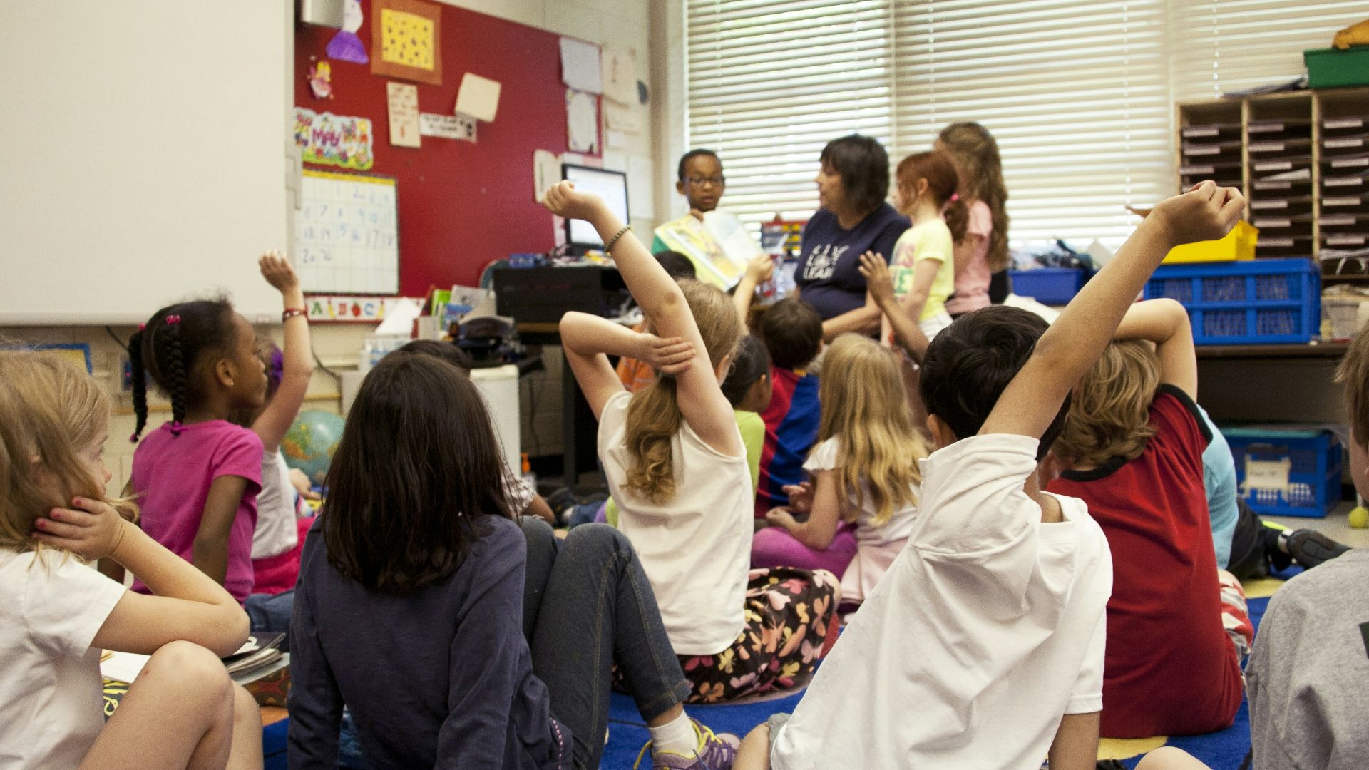 people sitting on blue carpet