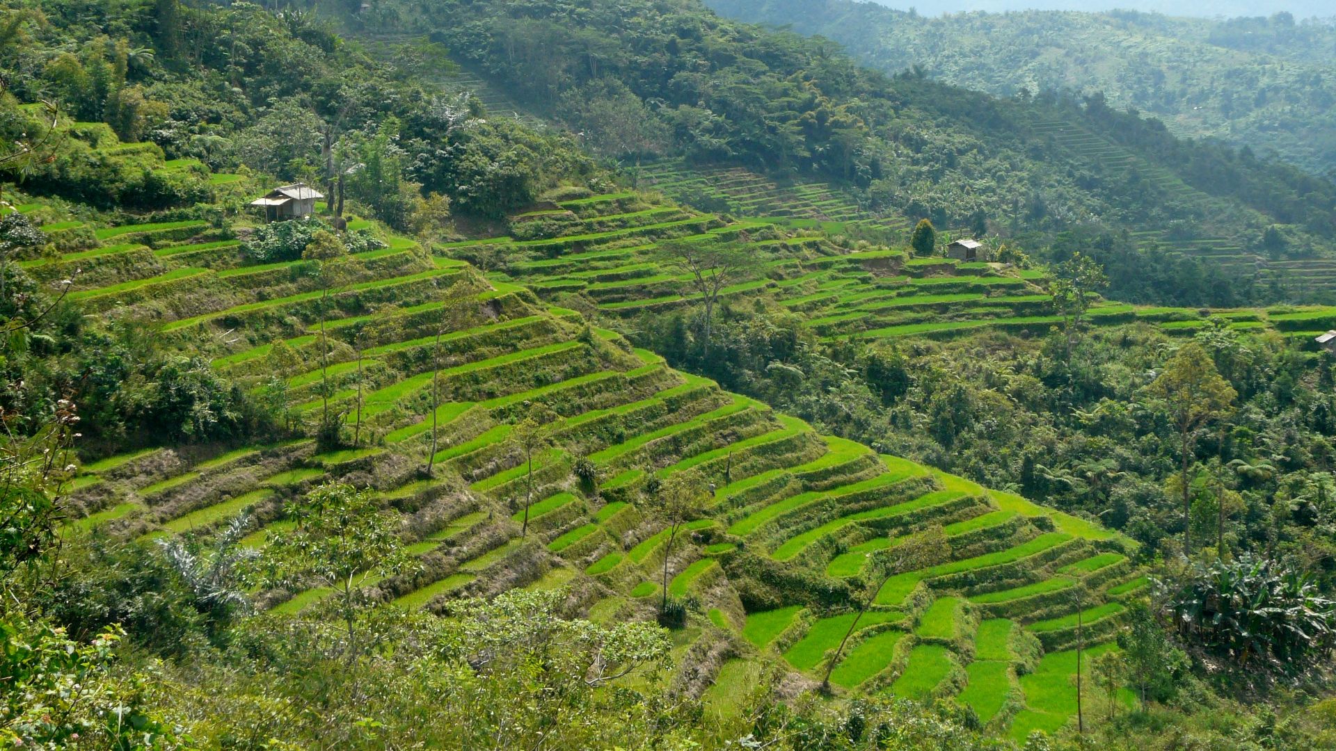green grass field and mountain during daytime