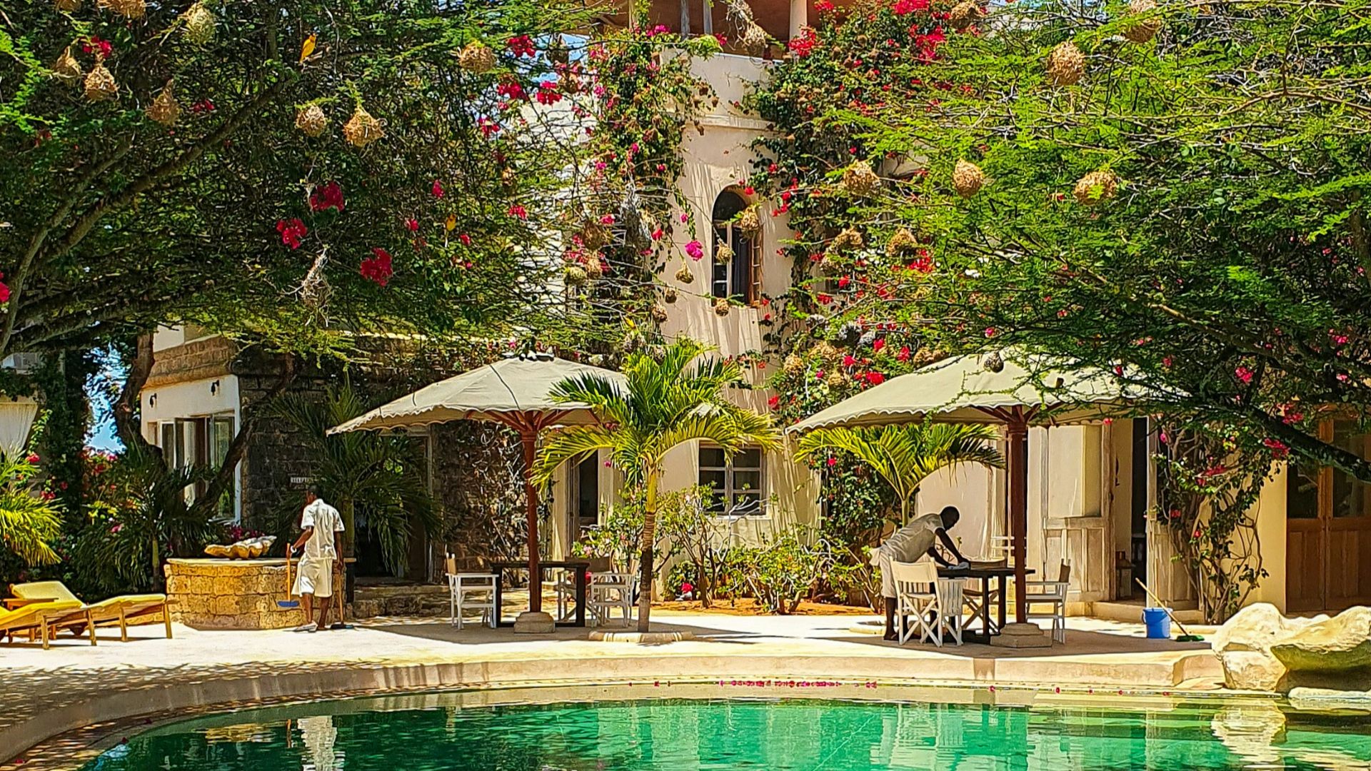 a pool surrounded by lush green trees next to a building