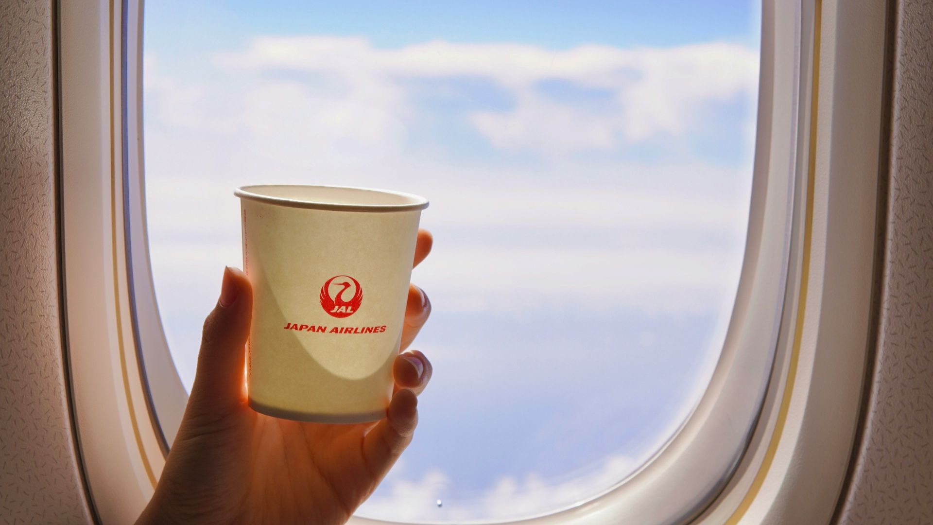 person holding white and red disposable cup