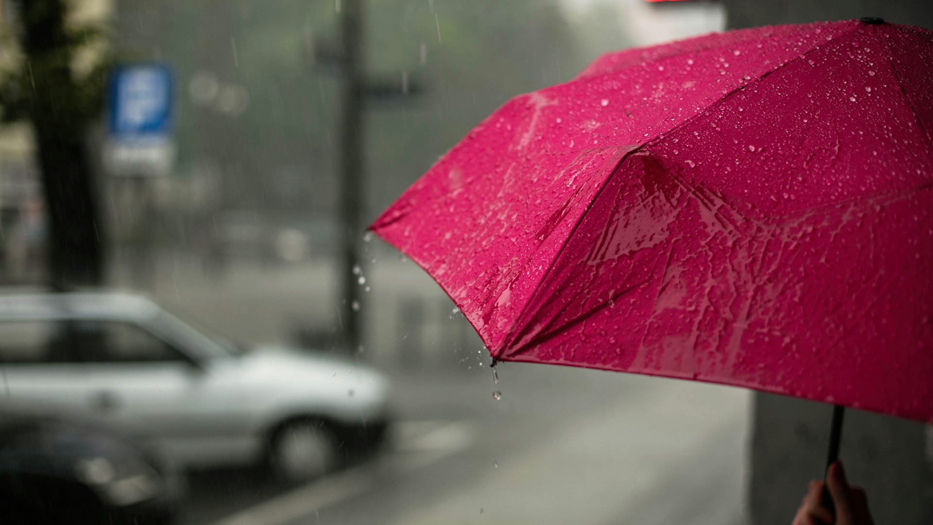 pink umbrella