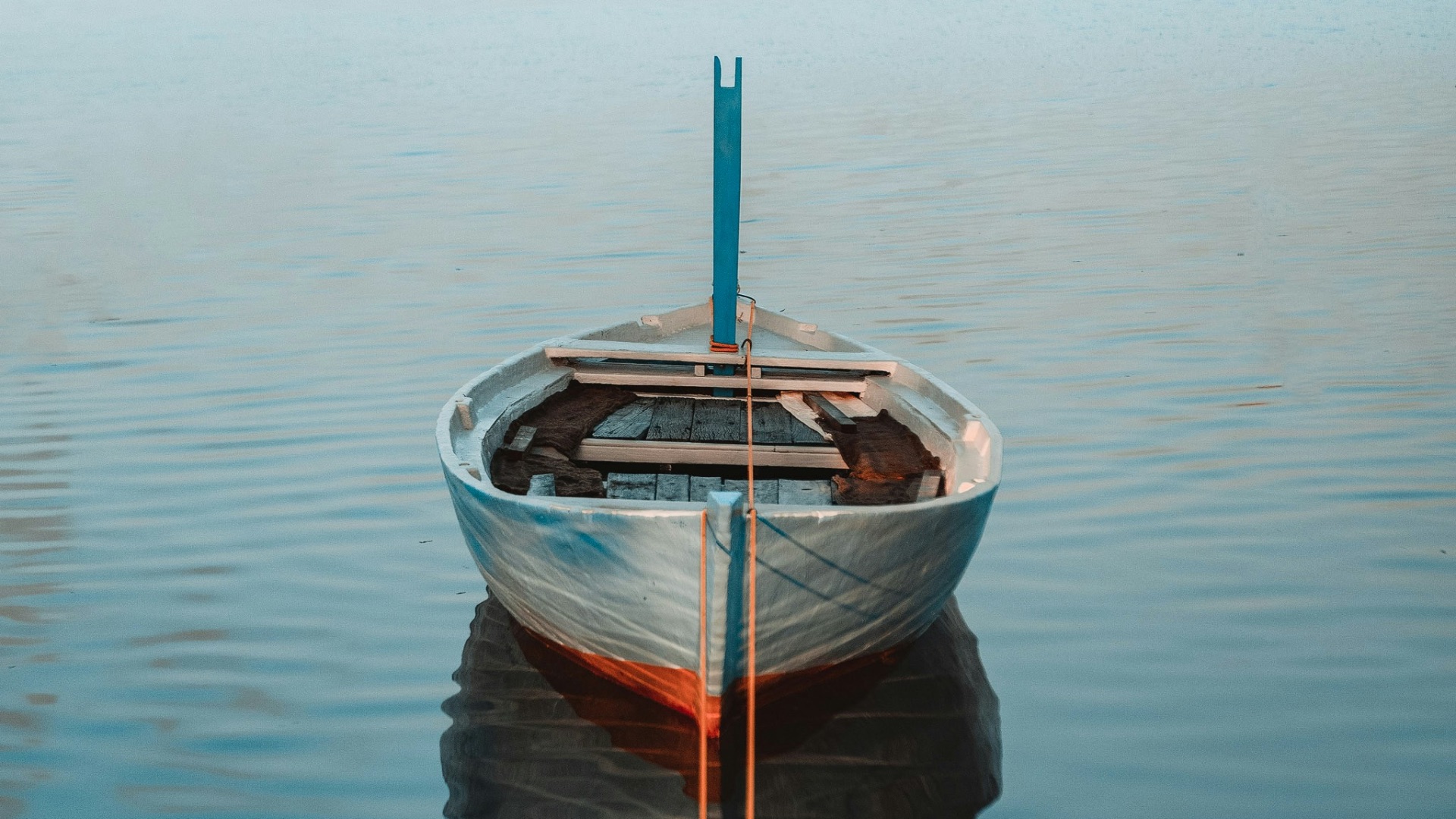 white boat surrounded by body of water