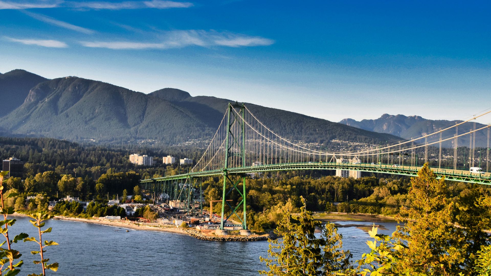 green suspension bridge