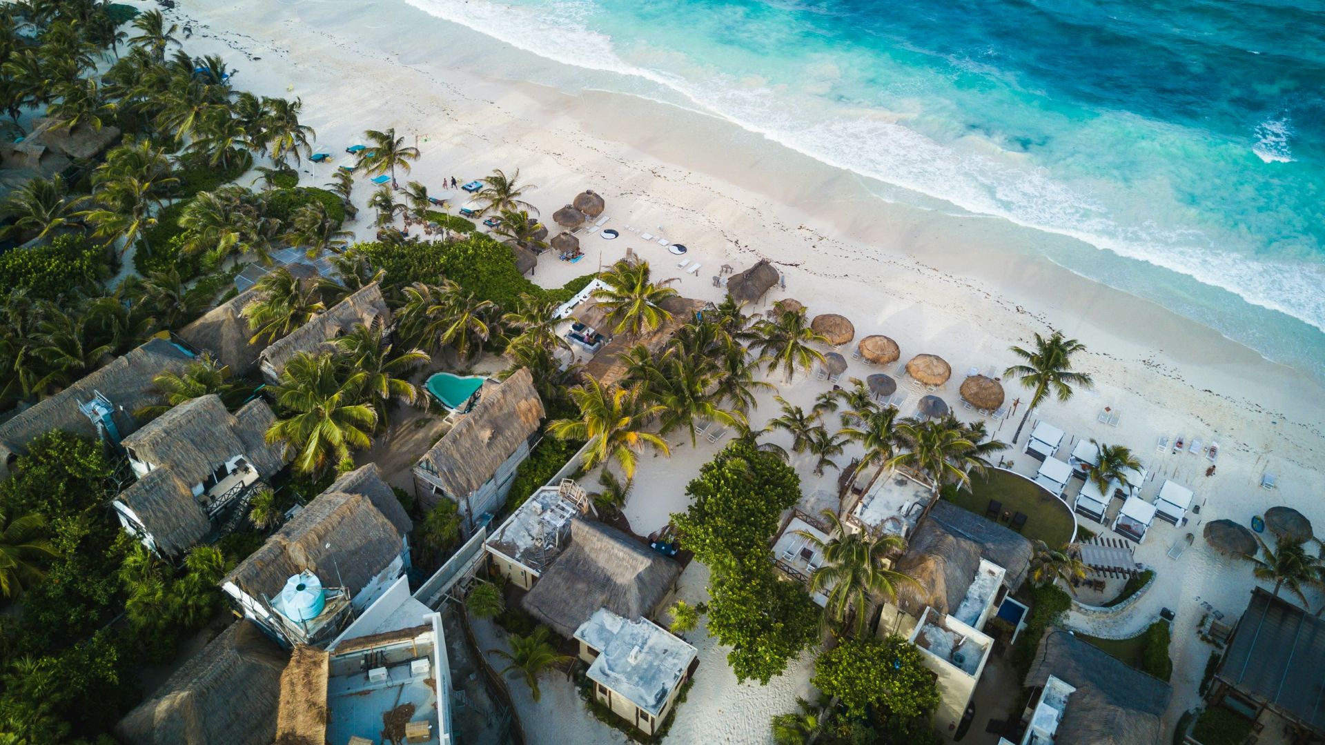 aerial photography of houses near the sea