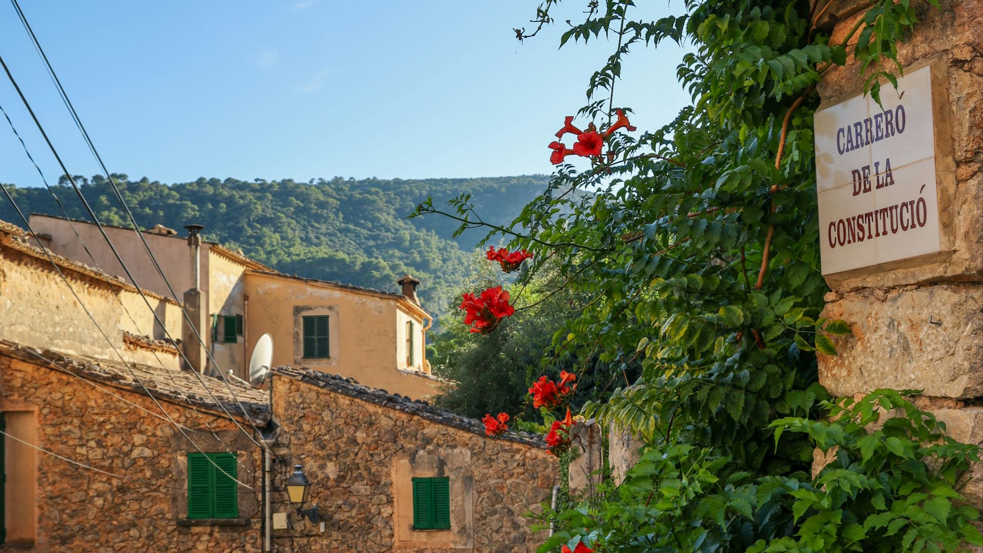 red flowers with green leaves near brown concrete building during daytime