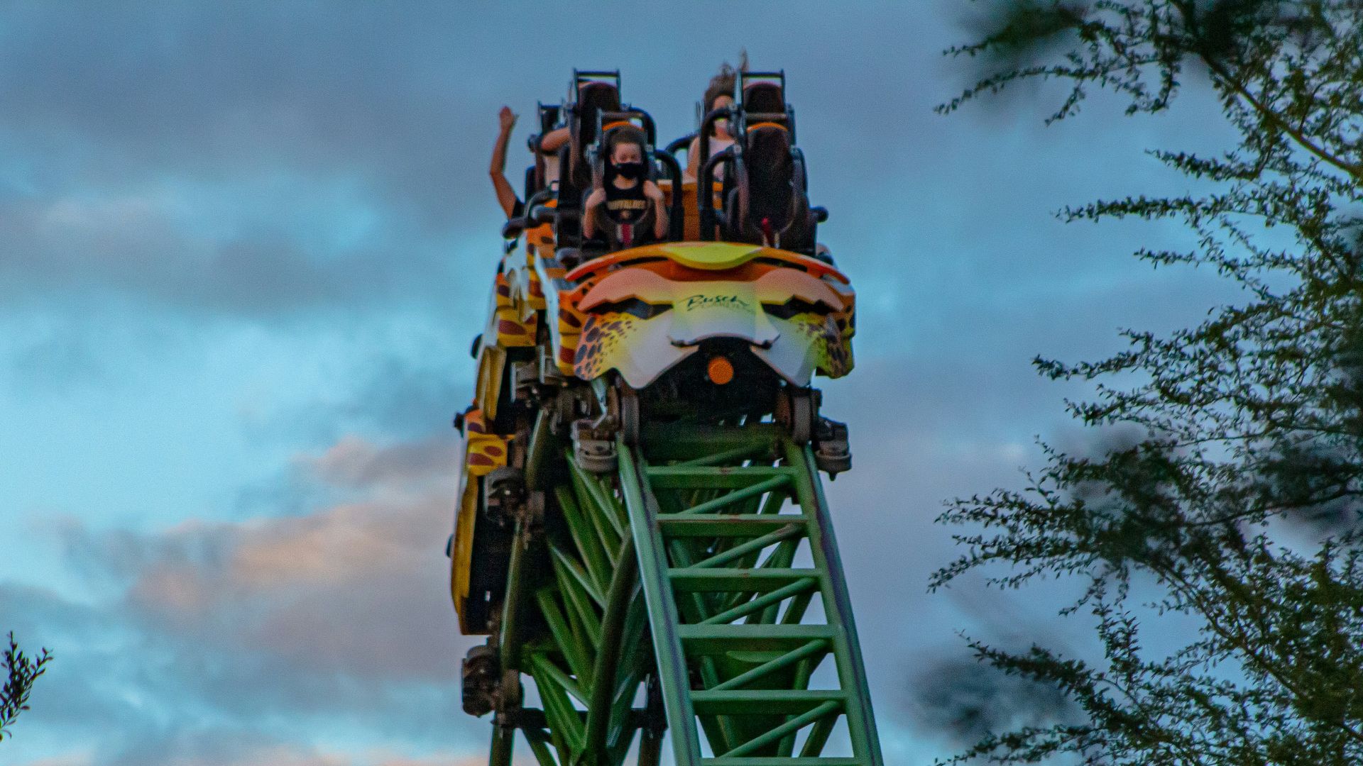 green and yellow roller coaster