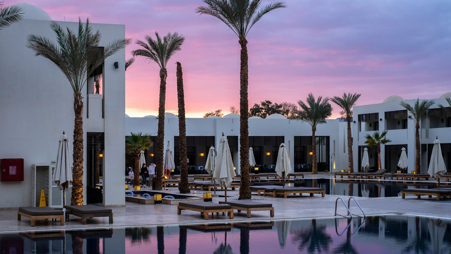 a large swimming pool surrounded by palm trees