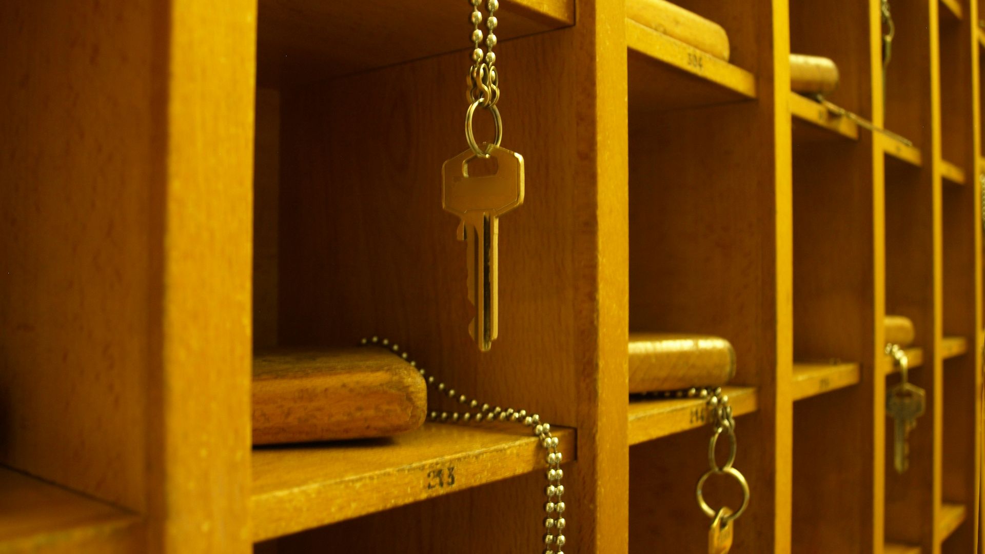 silver chain link necklace on brown wooden shelf