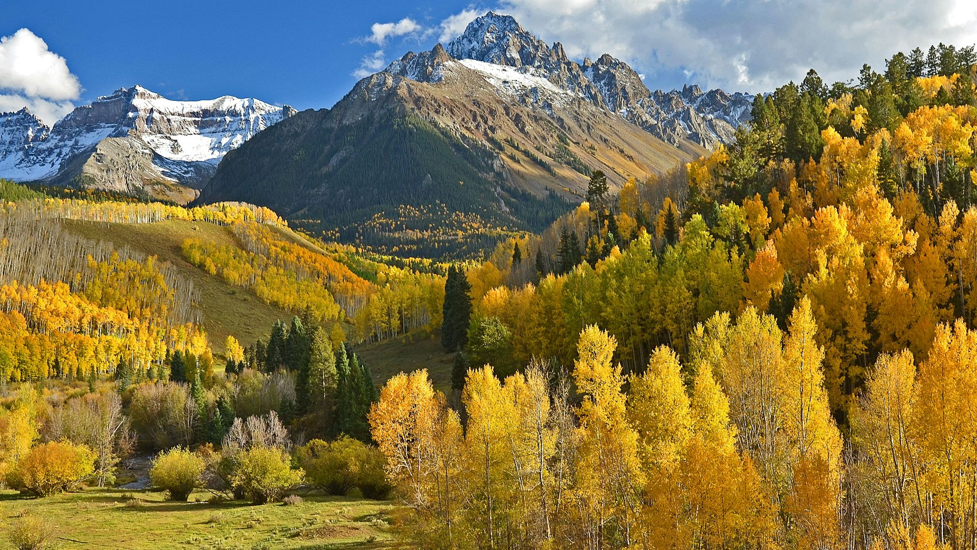 green and beige trees beside mountains