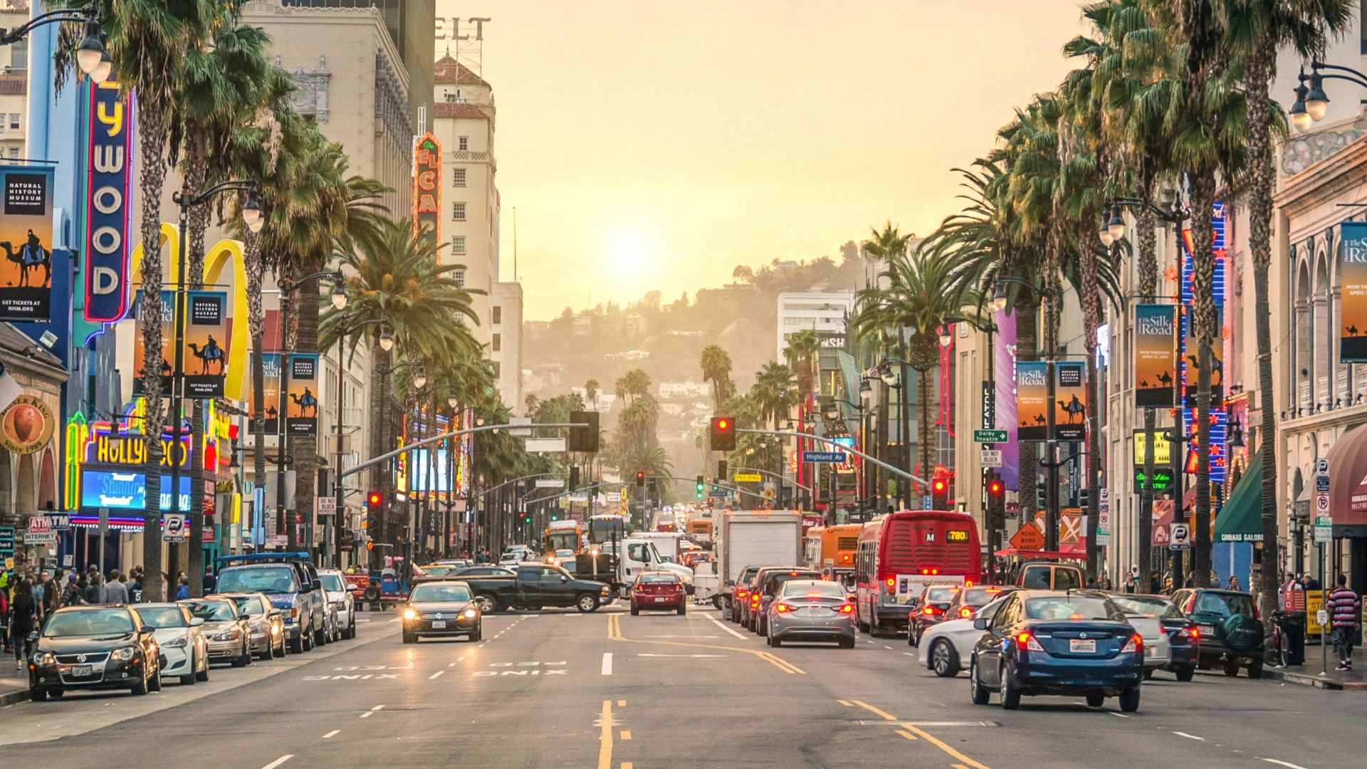 cars on road between high rise buildings during daytime