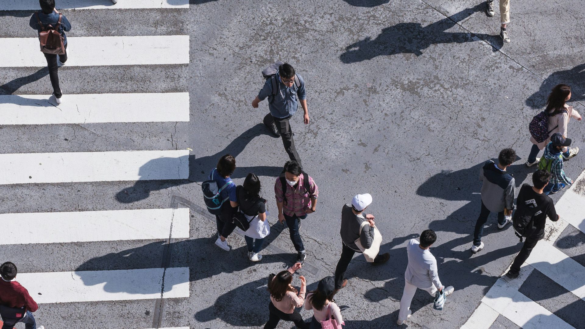 aerial photography of people crossing pedestrian lane