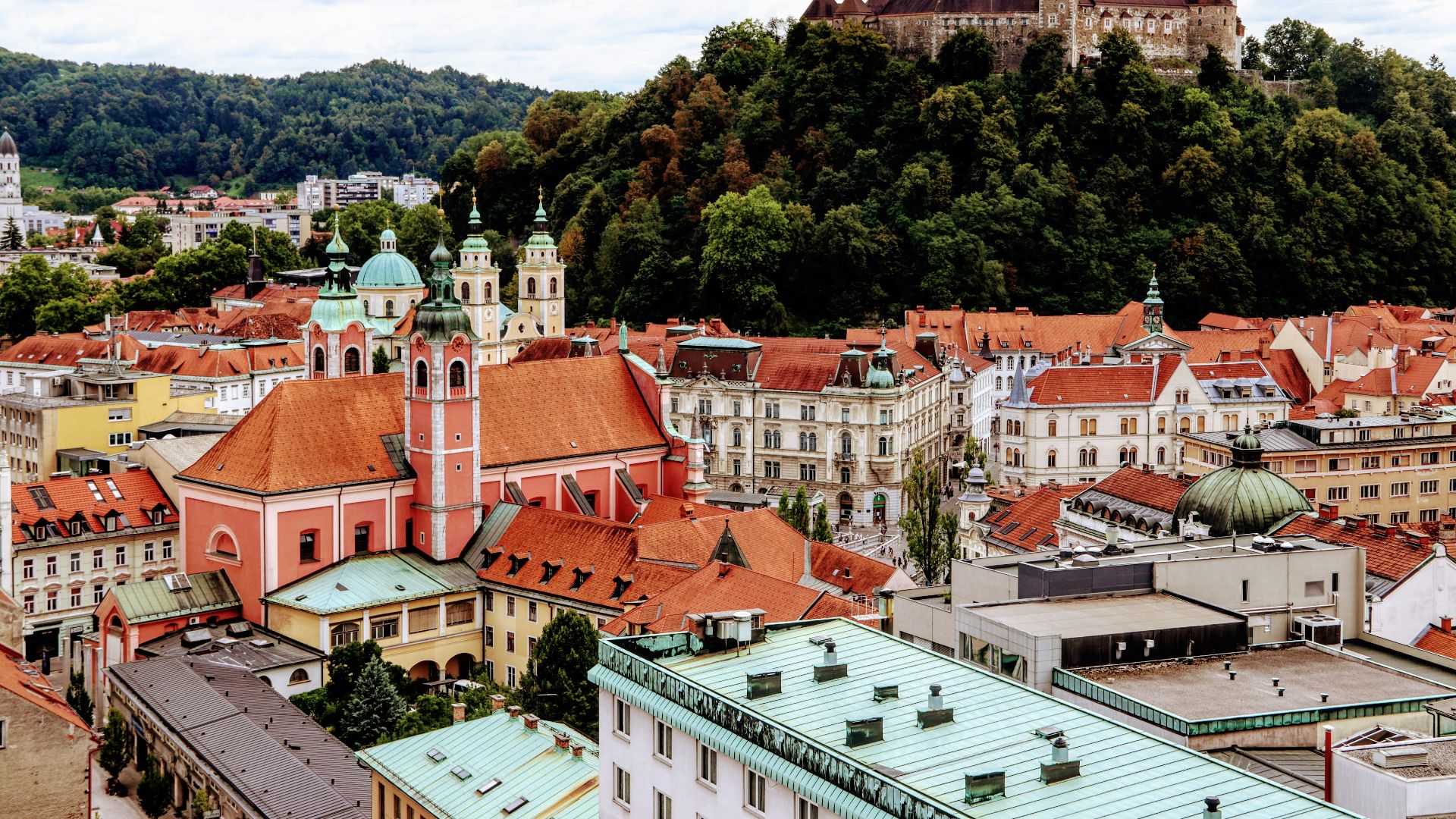 white and brown concrete houses near green trees during daytime