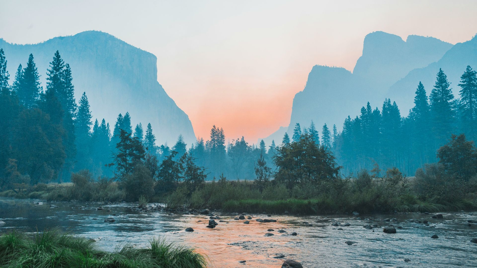 body of water surrounded by trees