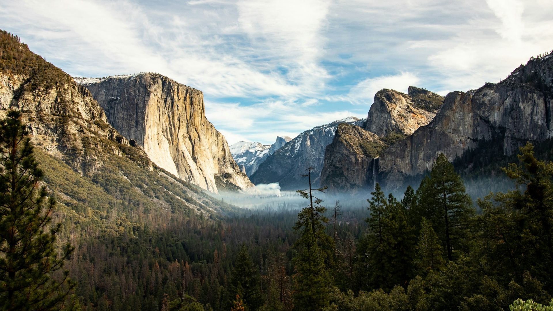 aerial view of trees near mountain