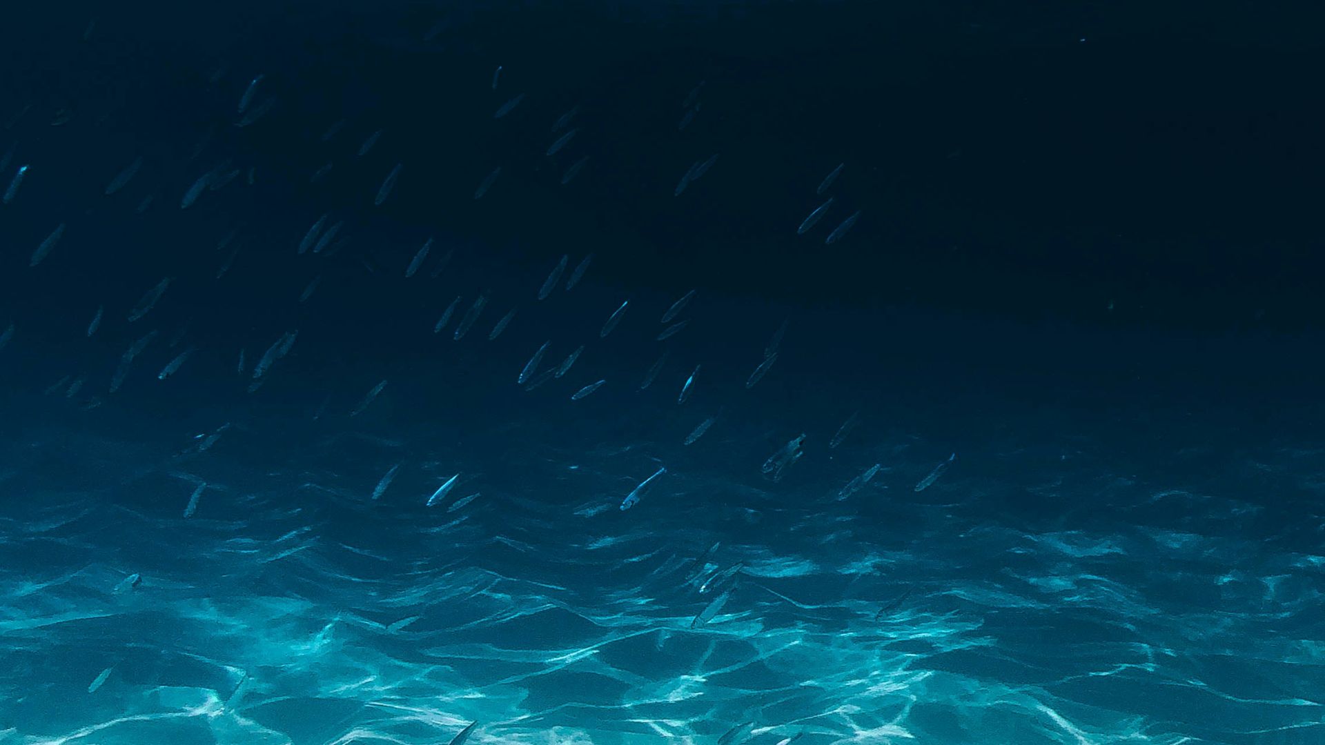 blue and clear body of water