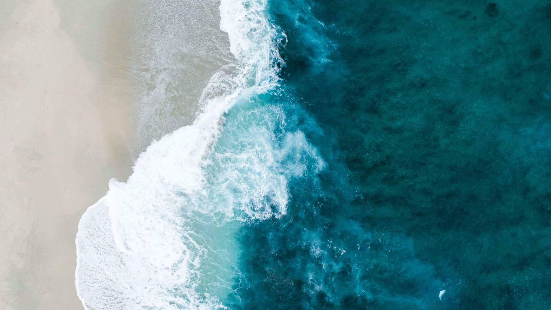aerial photo of seashore