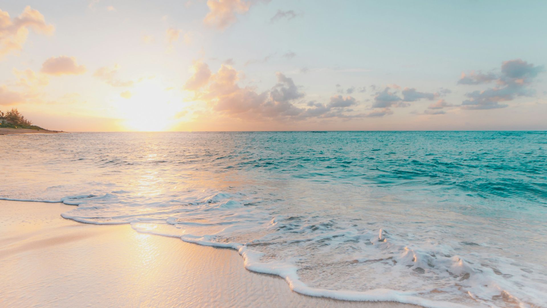 seashore during golden hour