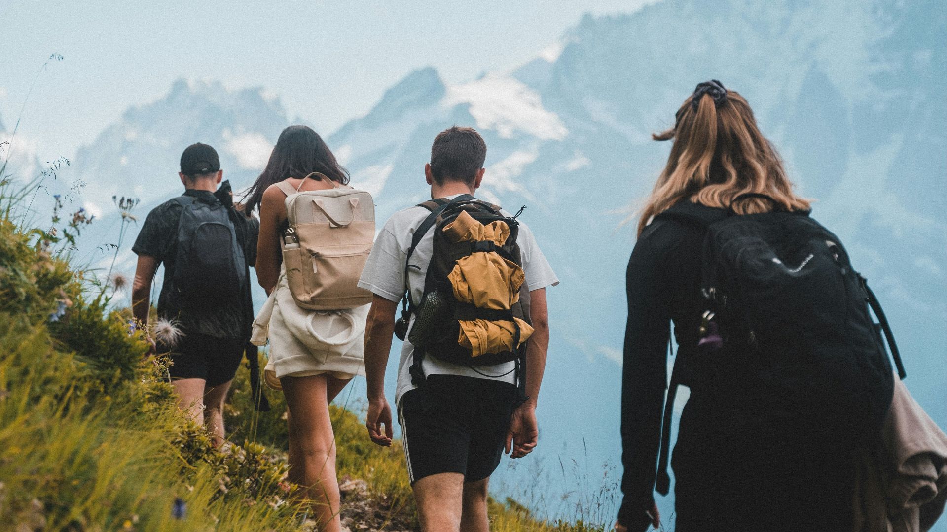 people walking on green grass field during daytime