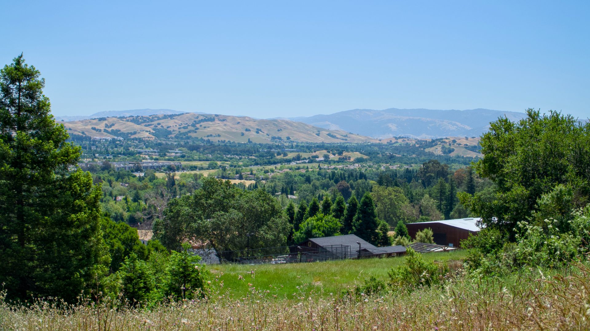 A view of a field with mountains in the background