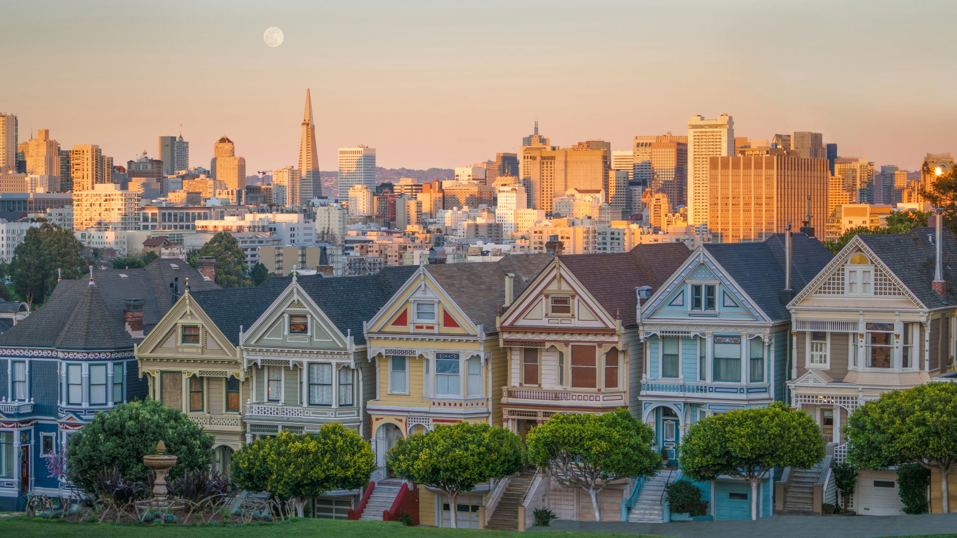lined of white-and-blue concrete buildings