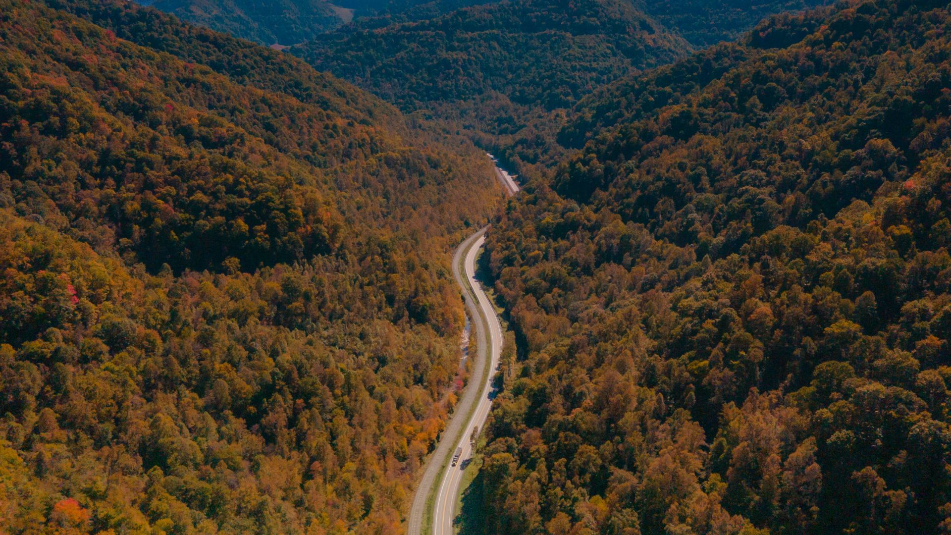 a winding road through a forest