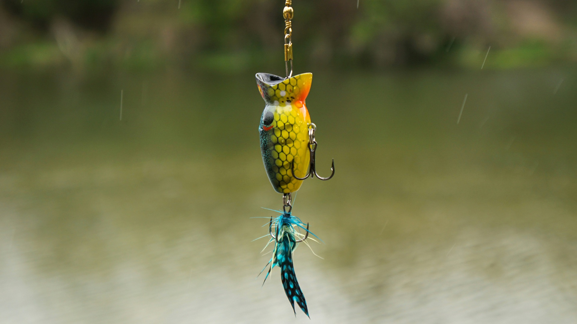a colorful bird hanging from a fishing hook