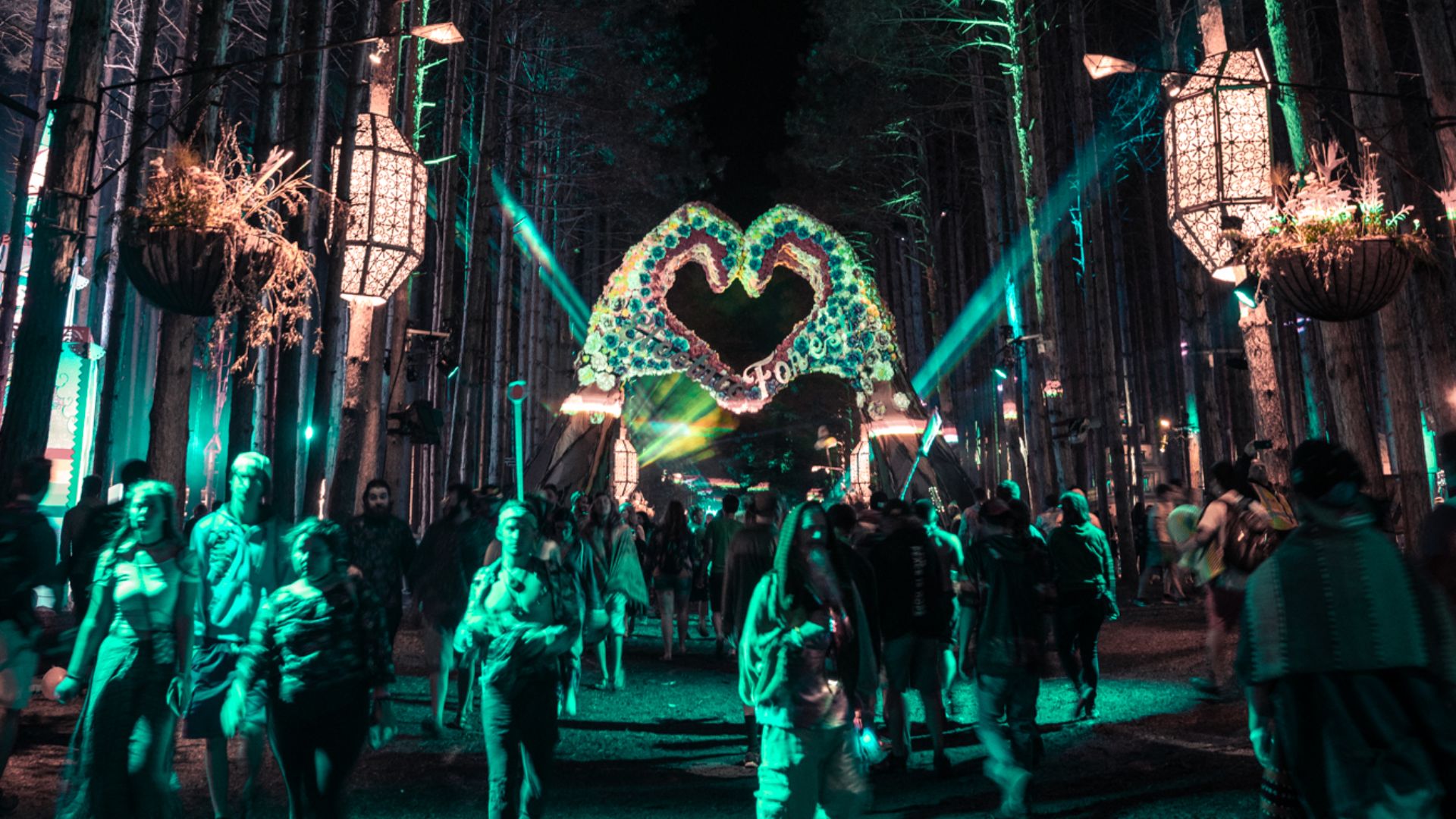 File:Forest (42509834994).jpg