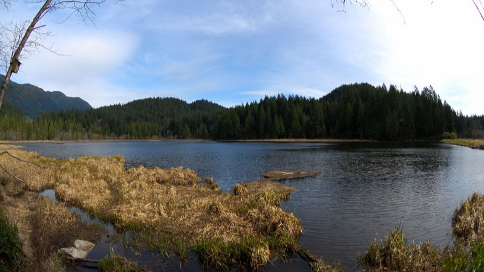 File:Minnekhada Regional Park.jpg