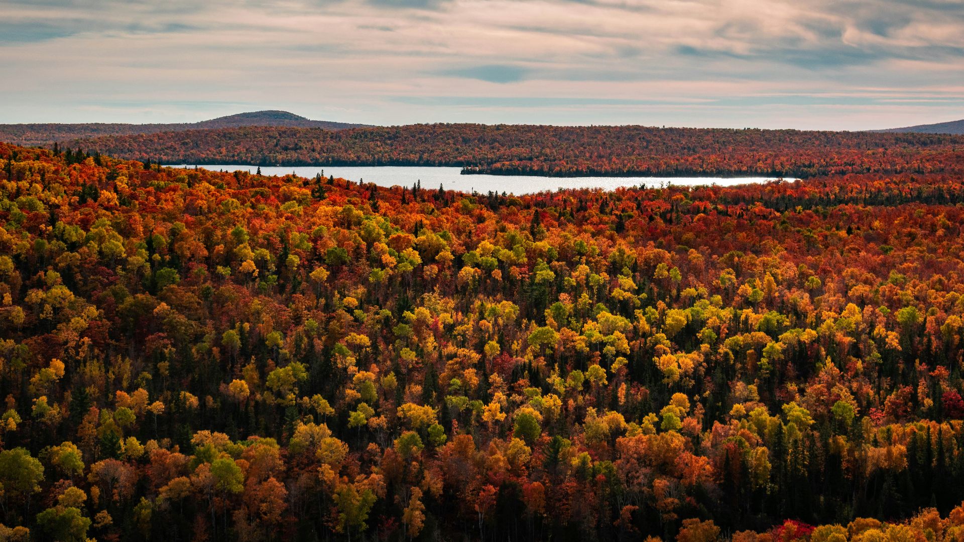 a view of a forest with a lake in the middle of it