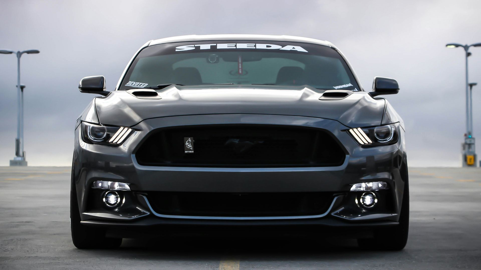 black Shelby car on road