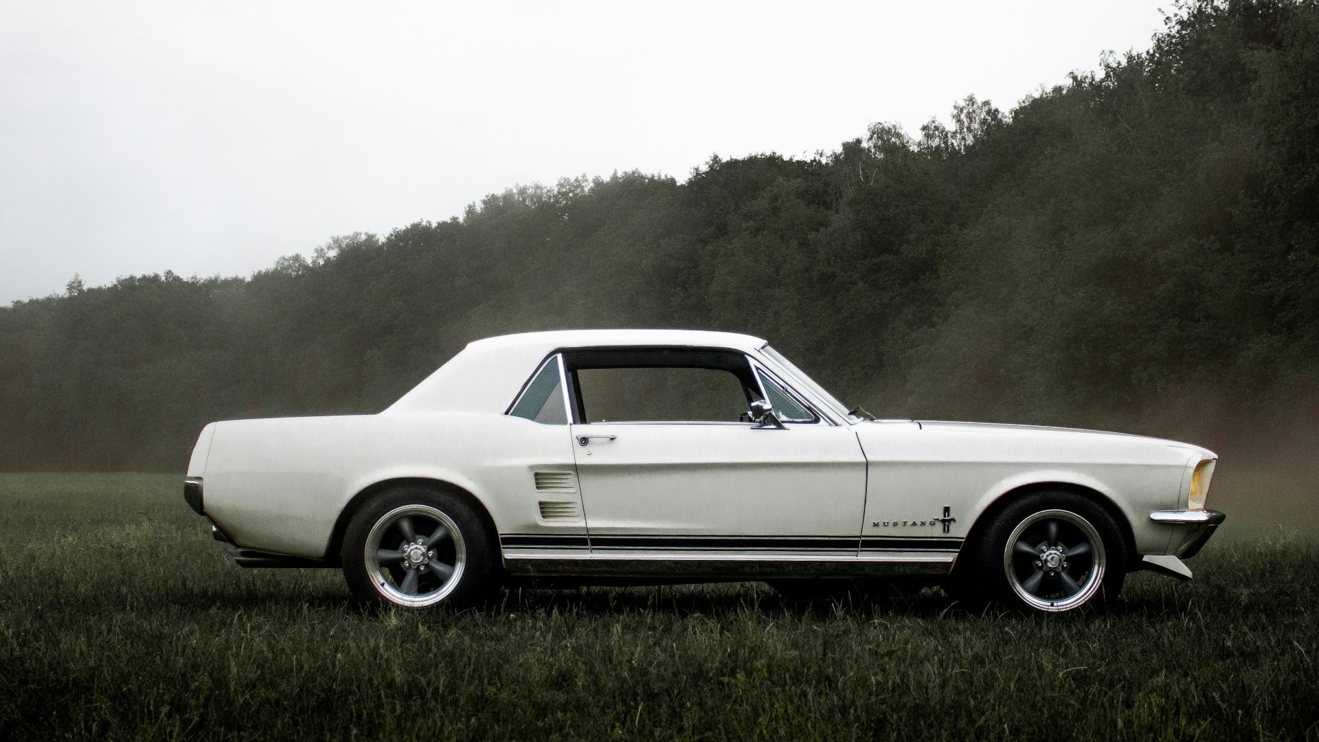 white coupe on green grass field during daytime