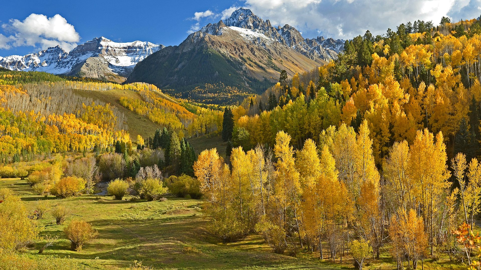 green and beige trees beside mountains