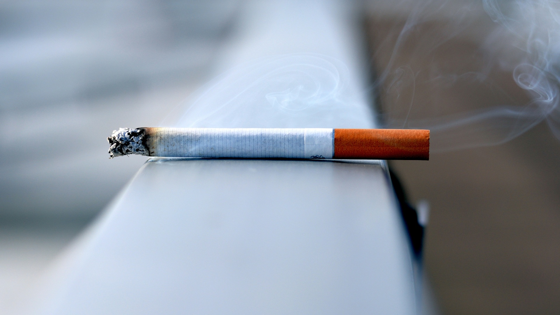 white cigarette stick on white wall