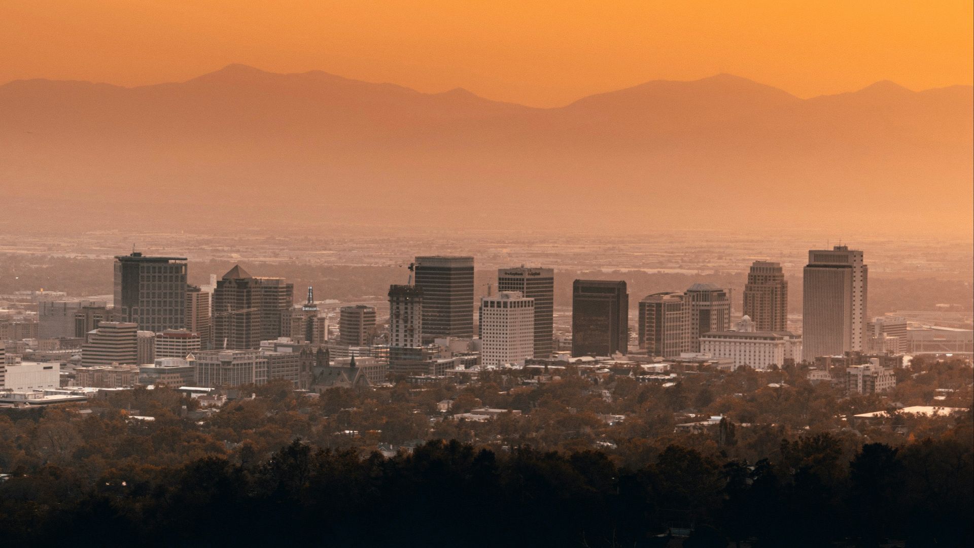 city skyline under blue sky during daytime