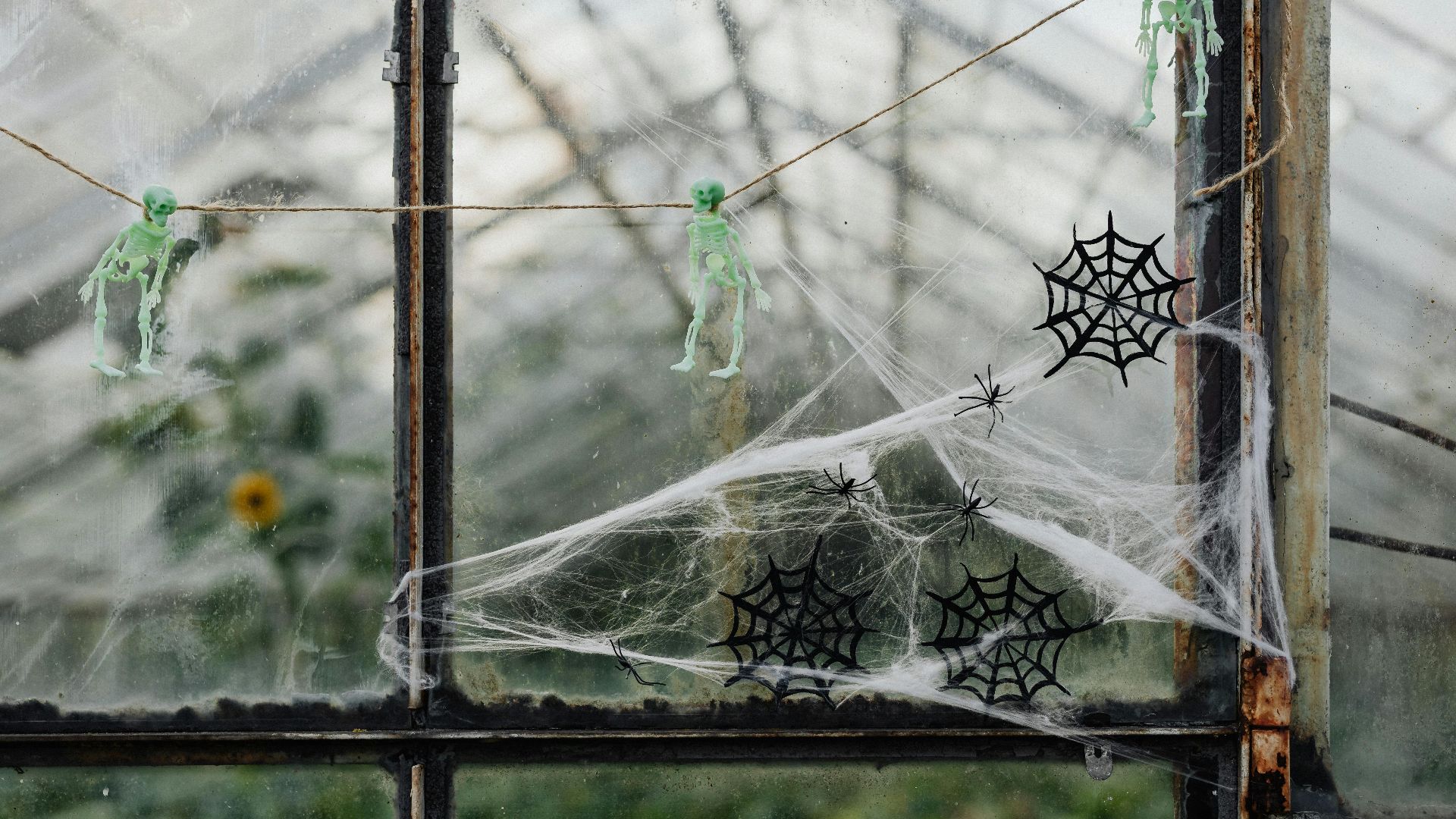 Photo By: Kaboompics.com