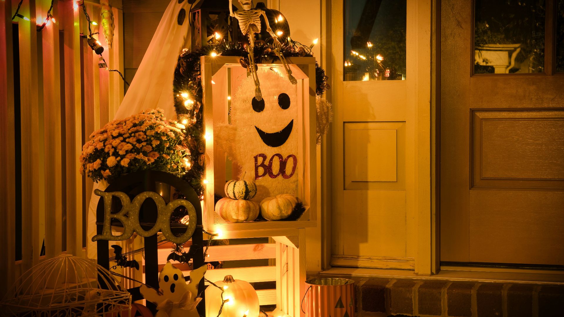 pink flower plant inside room