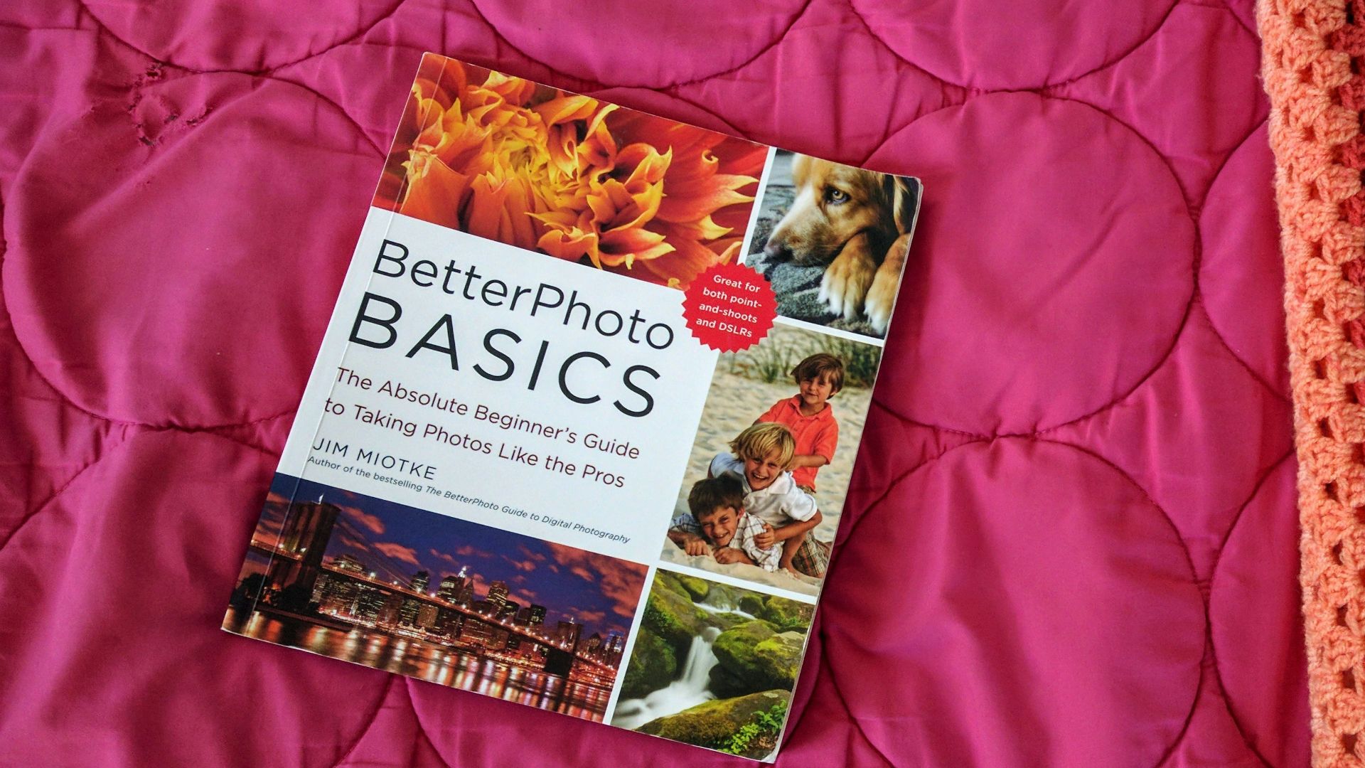 Better Photo Basics book