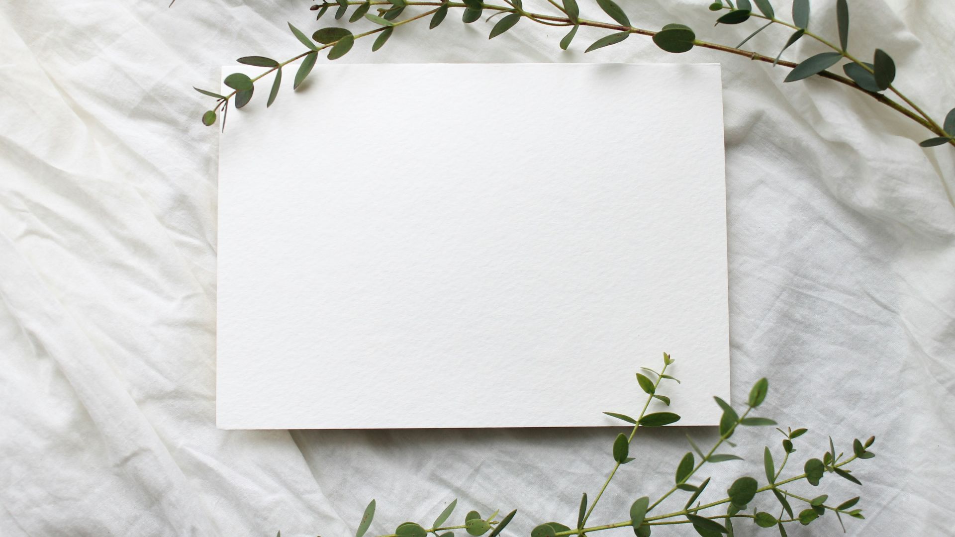 a piece of paper with a plant on top of it