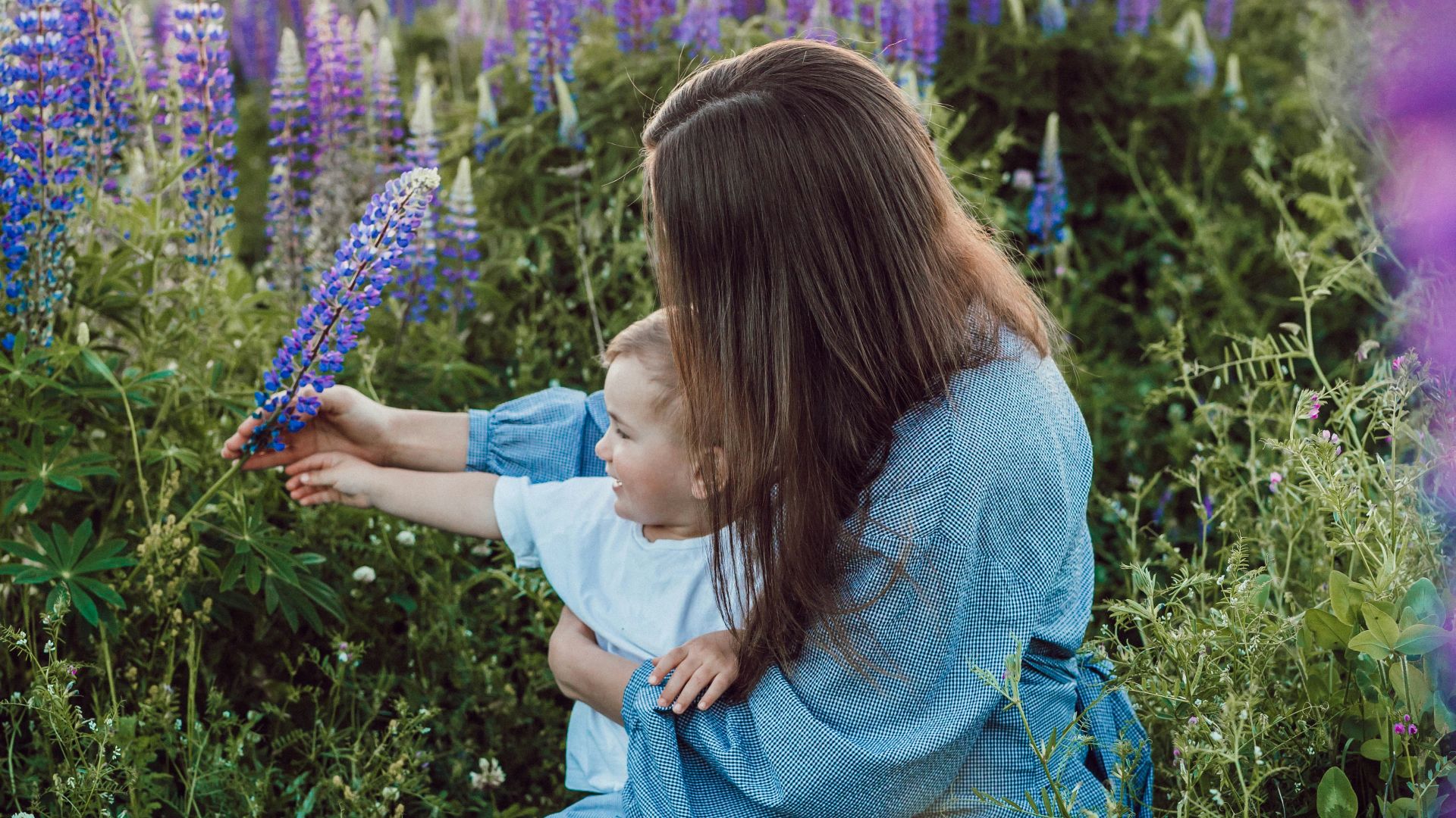 woman sitting with baby on her lap surrounded with purples flower