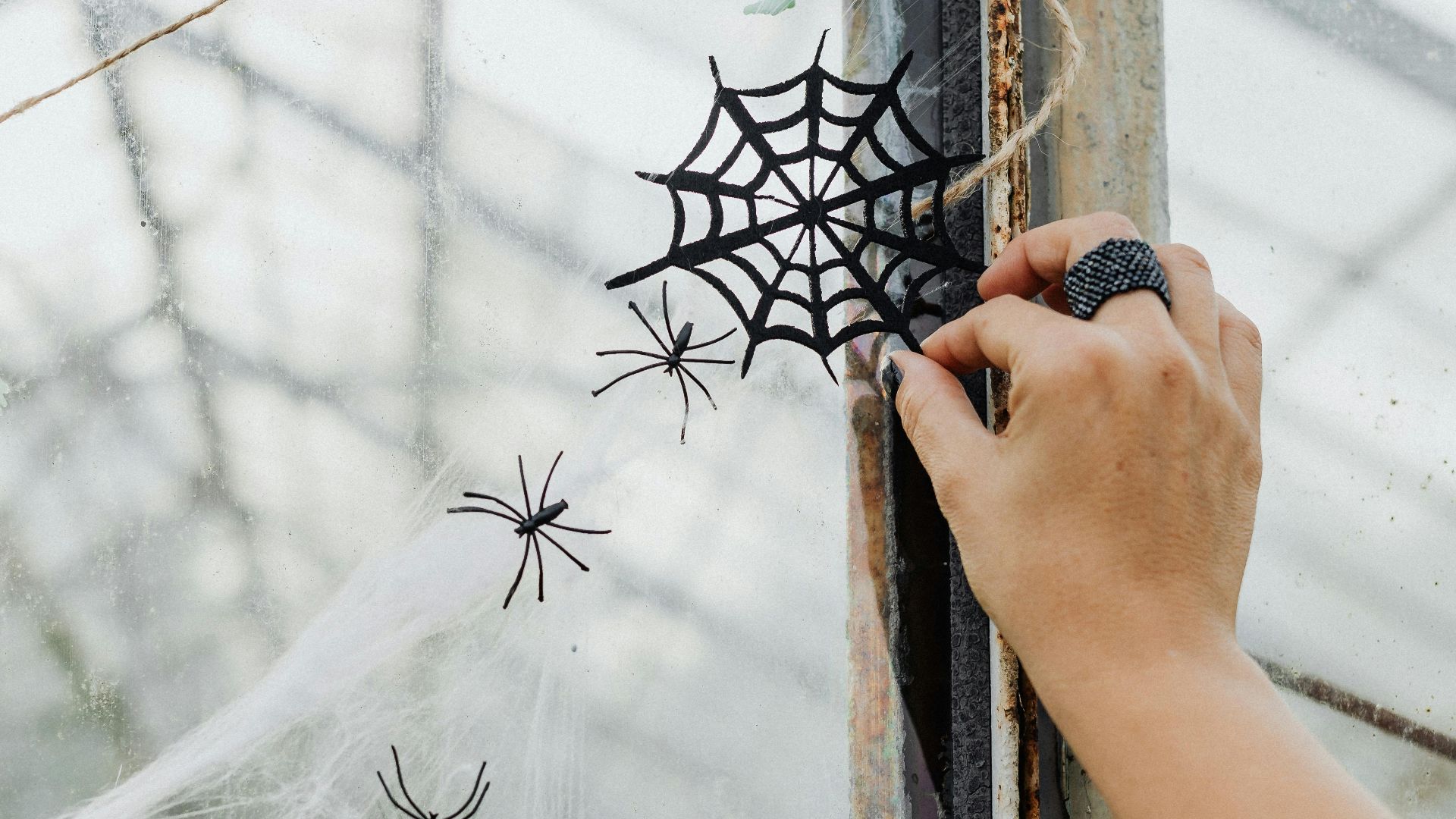 Photo By: Kaboompics.com