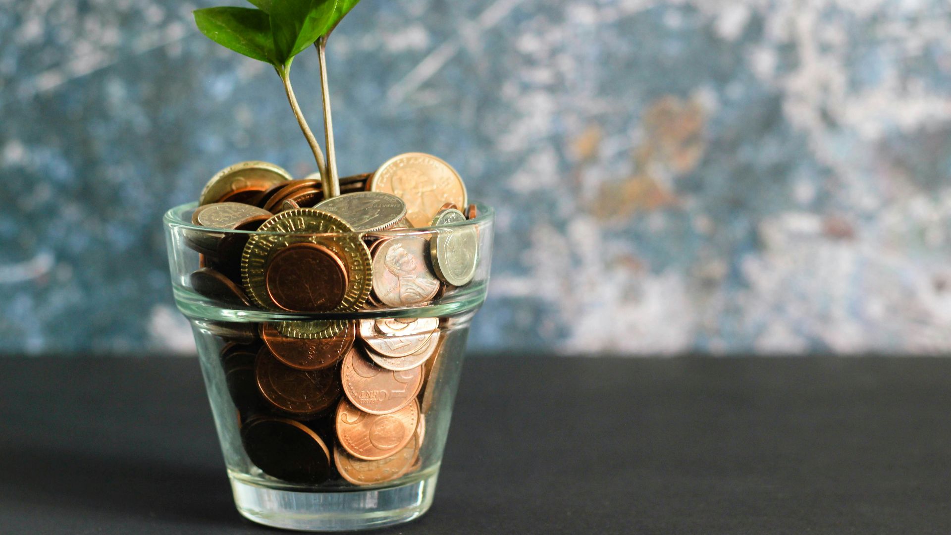 green plant in clear glass vase