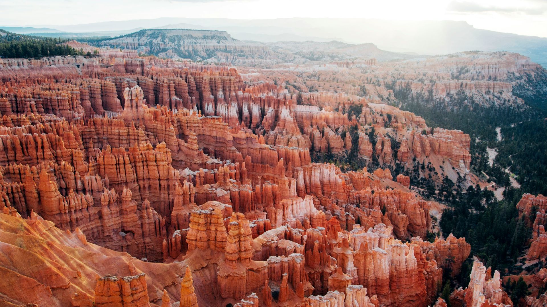 aerial photo of brown canyon