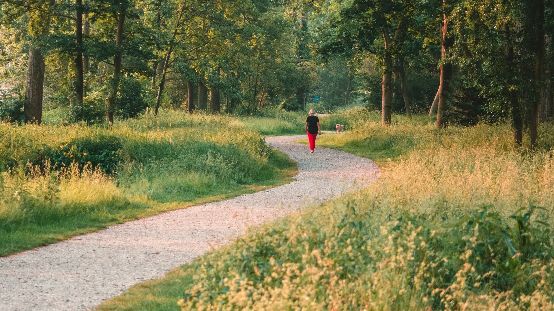 person in red jacket walking on pathway between green grass and trees during daytime