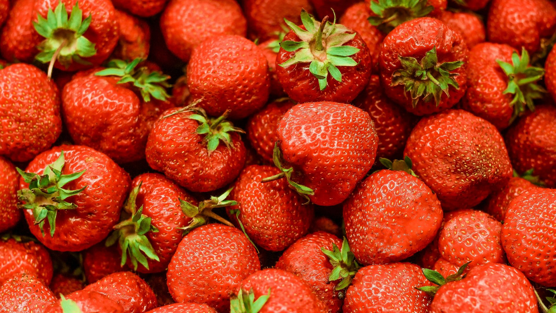 strawberry lot