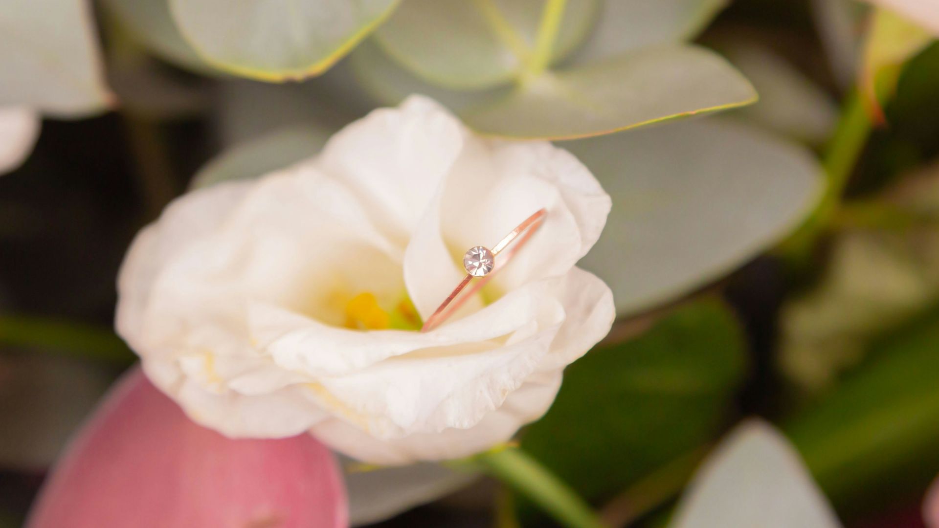 white flower with green leaves