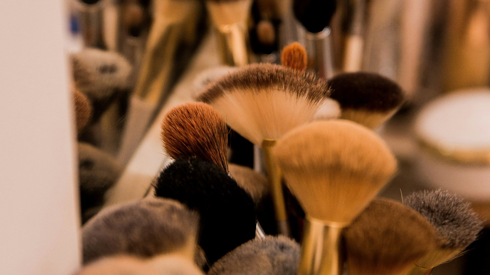 brown and black brush lot