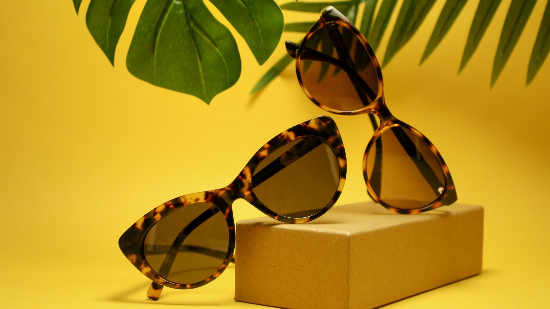 two tortoiseshell-framed Wayfarer-styled sunglasses with box