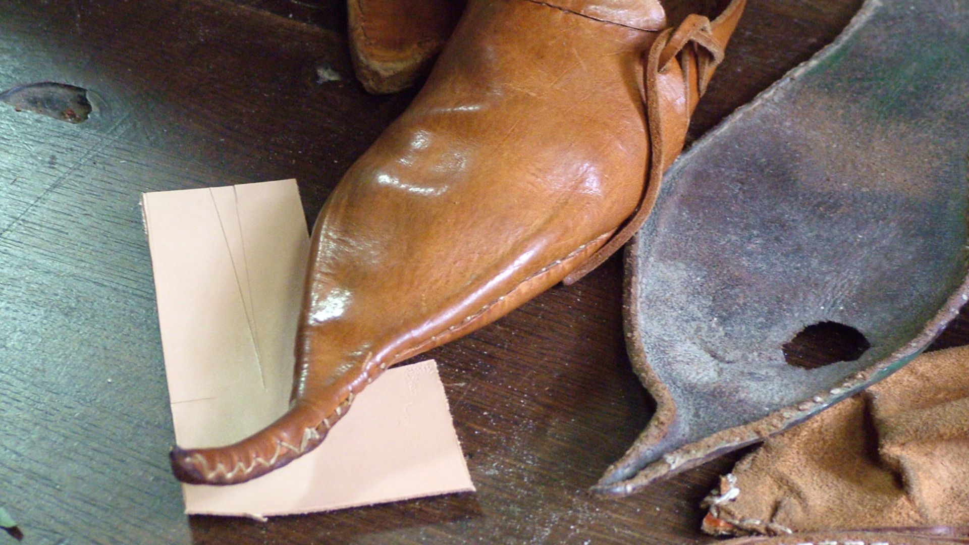 File:2008-08 archeon schnabelschuh.JPG